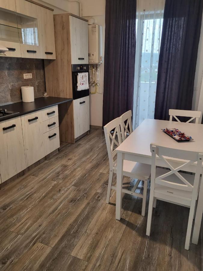 Apartament Dem Radulescu Lejlighed Râmnicu Vâlcea Eksteriør billede